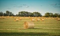 The late summer light shines on the hay bailes Hay bailes  in the feild against  ablue sky Royalty Free Stock Photo