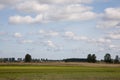 Late summer rural landscape with cranes flying Royalty Free Stock Photo