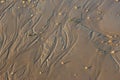 Late summer strolling over the sands on the beaches of Whitstable, Kent, UK taking in the sights and patterns in the sand made by