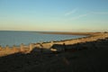 Late summer strolling over the sands on the beaches of Whitstable, Kent, UK taking in the sights and patterns in the sand made by