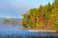 Late summer sun shines on morning misty fog that rises from a lake. Dock extends into a lake from shore. Royalty Free Stock Photo