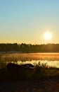 Late summer sunrise on a small pond Royalty Free Stock Photo