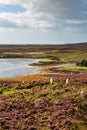 A Late Summer View over Pobull Fhinn Stone Circle on the hill beside Loch Langass, on the Hebridean Island of North Uist Royalty Free Stock Photo