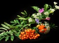 Late Summer Wildflowers: Herbs in a simple arrangement with a floral painted vase Royalty Free Stock Photo