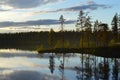 Late summers evening in Finland. HaltiajÃÂ¤rvi, Salla. Royalty Free Stock Photo