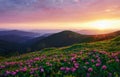 Late sunbeams. Majestic Carpathian mountains. Beautiful landscape. Breathtaking view Royalty Free Stock Photo