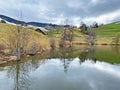 Late winter and early spring on the small natural lake Wilersee or Wiler lake above the canyon of the river Sihl, Menzingen Royalty Free Stock Photo