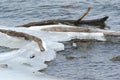 Late Winter Vista On Upper Mississippi River Royalty Free Stock Photo