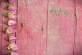 Lateral border of pink dried roses