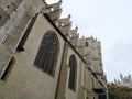 Lateral facade view of the Cathedral of St. John the Baptist of Lyon and the Basilic of Notre Dame at the background, France