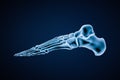 Lateral or profile view of accurate human left foot bones isolated on blue background 3D rendering illustration. Anatomy,