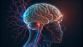 Lateral View Illuminated Brain and Vasculature Composition