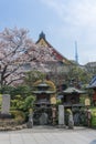 SensÃÂ-ji temple in Asakusa in spring