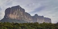 Lateral wall of tepuy in Canaima Royalty Free Stock Photo