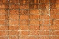 Laterite brick wall Royalty Free Stock Photo