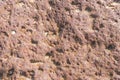 Laterite stone Royalty Free Stock Photo