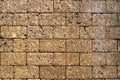 Laterite stone brick wall Royalty Free Stock Photo