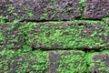 Laterite Stone Brick Wall Closeup