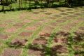 Laterite stone path on green grass