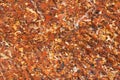 laterite texture Royalty Free Stock Photo