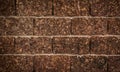 Laterite wall Royalty Free Stock Photo