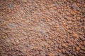 Lateritic soil rouge texture for background. Laterite is a soil and rock type rich in iron and aluminium. Nearly all laterites are Royalty Free Stock Photo