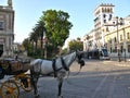 The latest electric tram and a horse and buggy