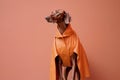 latex dog concept pet stylish art fashion animal funny colourful. Generative AI.