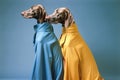 latex dog funny pet art concept fashion animal stylish colourful. Generative AI.