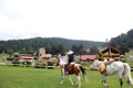 Latin adult man rides a horse in the forest, walks through his lands in a moment of tranquility and relaxation, rides in solitude Royalty Free Stock Photo