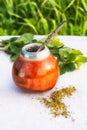 Latin America herbal tea in mate calabash with bombilla Royalty Free Stock Photo