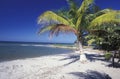 LATIN AMERICA HONDURAS CARIBIAN SEA Royalty Free Stock Photo