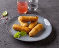Tequenos made of fried corn filled with cheese Royalty Free Stock Photo