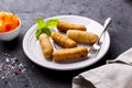 Tequenos made of fried corn filled with cheese Royalty Free Stock Photo