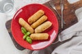 Tequenos made of fried corn filled with cheese Royalty Free Stock Photo
