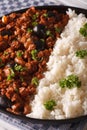 Latin American cuisine: Picadillo a la habanera with rice, vertical