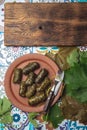 Latin American Mexican Chilean cuisine. Ninos envueltos. Grape leaves stuffed wish meat on clay plate