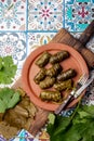 Latin American Mexican Chilean cuisine. Ninos envueltos. Grape leaves stuffed wish meat on clay plate