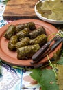 Latin American Mexican Chilean cuisine. Ninos envueltos. Grape leaves stuffed wish meat on clay plate