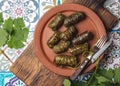 Latin American Mexican Chilean cuisine. Ninos envueltos. Grape leaves stuffed wish meat on clay plate