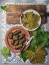 Latin American Mexican Chilean cuisine. Ninos envueltos. Grape leaves stuffed wish meat on clay plate