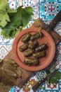 Latin American Mexican Chilean cuisine. Ninos envueltos. Grape leaves stuffed wish meat on clay plate