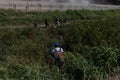 Latin American migrants evading Texan National Guard crossing border from Mexico to USA Royalty Free Stock Photo