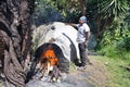 Latin man, Shaman, during shamanic, pre-Hispanic ritual, temazcal Royalty Free Stock Photo