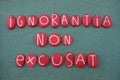 Ignorance is not an excuse, Ignorantia non excusat, latin quote composed with red colored stone letters over green sand