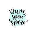 Latin vector phrase - dum spiro spero. Modern calligraphic print. Handwritten quote for cards, poster or t-shirt. Royalty Free Stock Photo