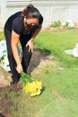 Latin woman visiting a loved one at the cemetery paying respects with fresh yellow flowers. Female grieving at graveyard Royalty Free Stock Photo