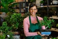 Latino american saleswoman with bonsai tree