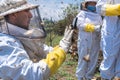 A Latino beekeeper takes pictures of the Abjeas honey harvest process in a hive with a group of workers in the field