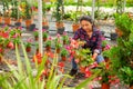 Latino female florist checking potted flowers red orchids